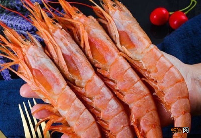 活虾怎么保存为最新鲜