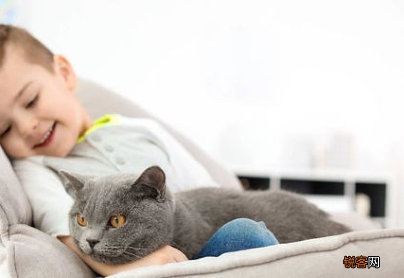 被猫抓伤多少天过危险期