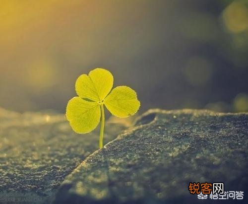 男女分手了,说哪句话最伤对方的心？