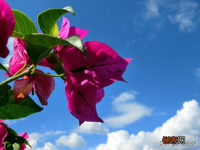 怎样委婉的提分手,不伤害那个人？