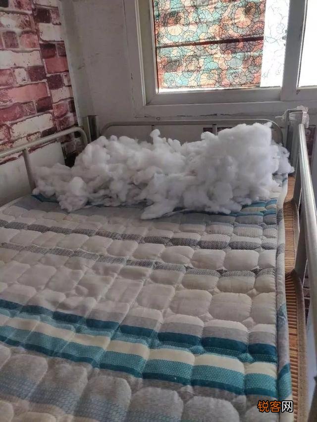 学生期的男生究竟有多“沙雕”？