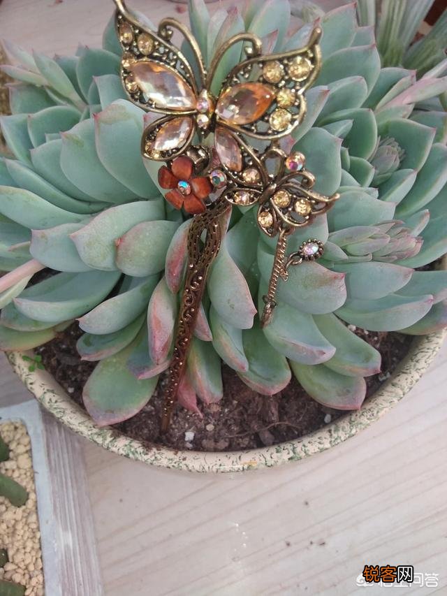 步摇,发簪和发钗的区别是什么？