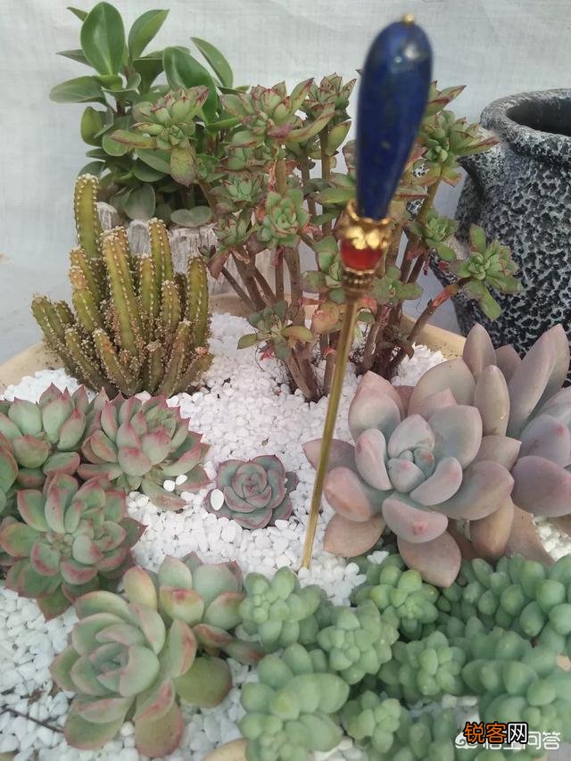 步摇,发簪和发钗的区别是什么？