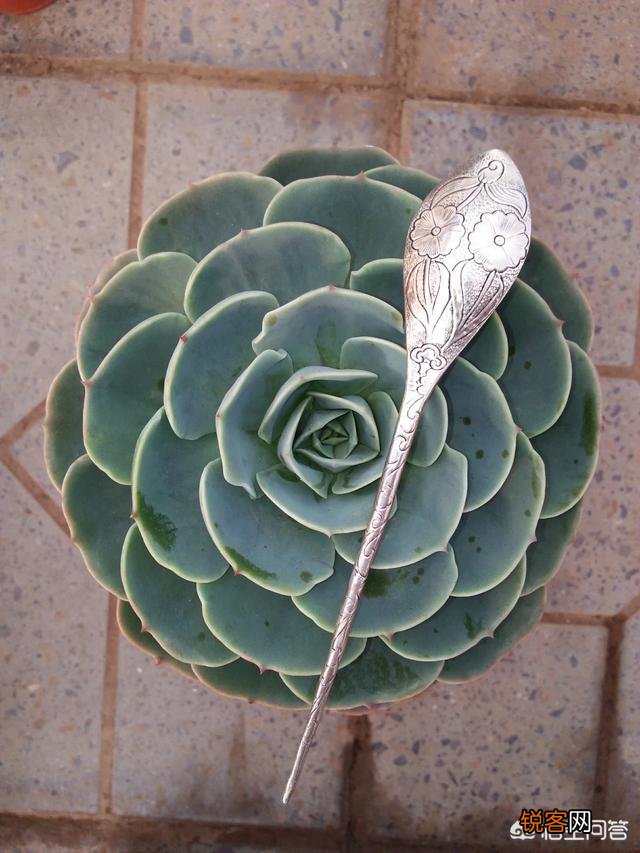 步摇,发簪和发钗的区别是什么？