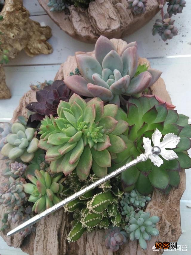 步摇,发簪和发钗的区别是什么？