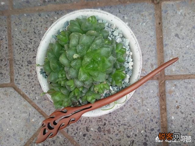 步摇,发簪和发钗的区别是什么？