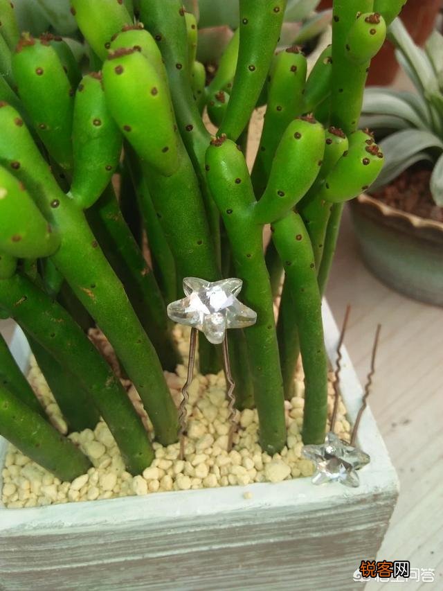 步摇,发簪和发钗的区别是什么？