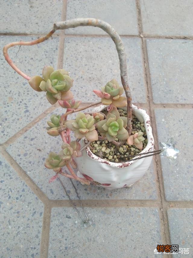 步摇,发簪和发钗的区别是什么？