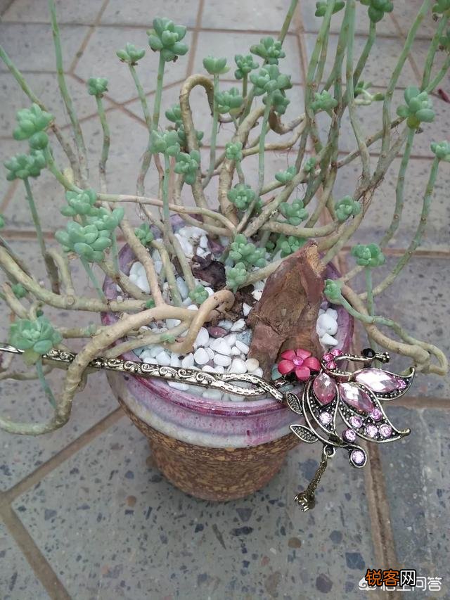 步摇,发簪和发钗的区别是什么？