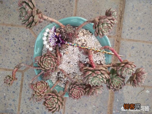 步摇,发簪和发钗的区别是什么？