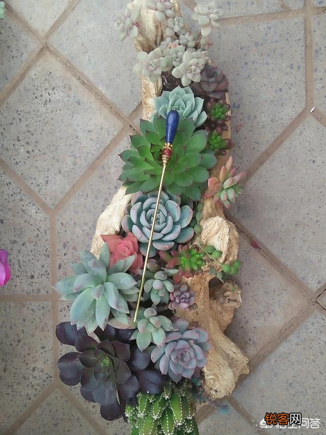 步摇,发簪和发钗的区别是什么？