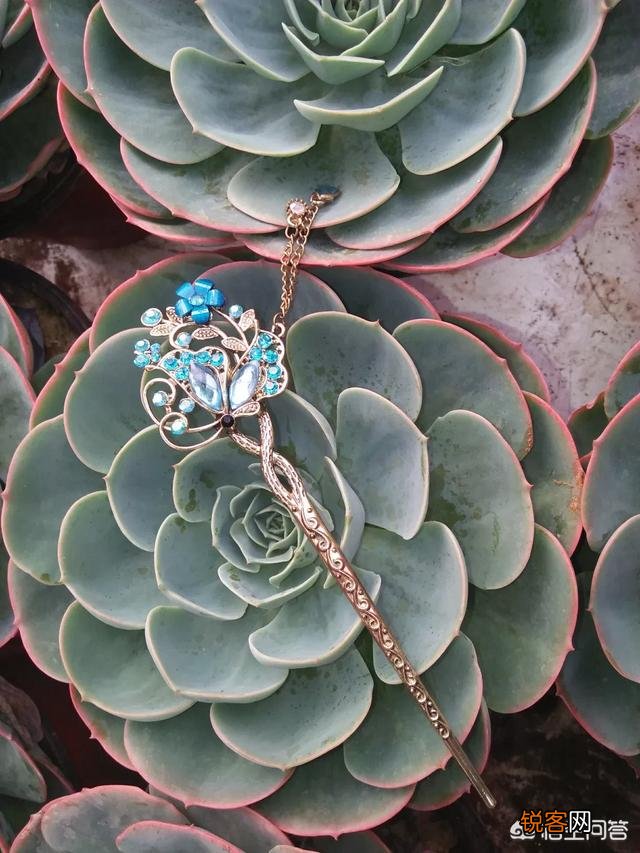 步摇,发簪和发钗的区别是什么？