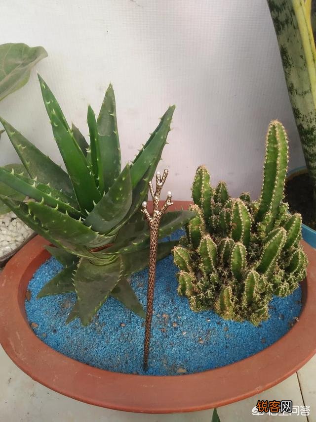 步摇,发簪和发钗的区别是什么？