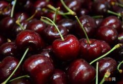 什么叫纯冰车厘子