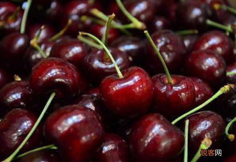 什么叫纯冰车厘子