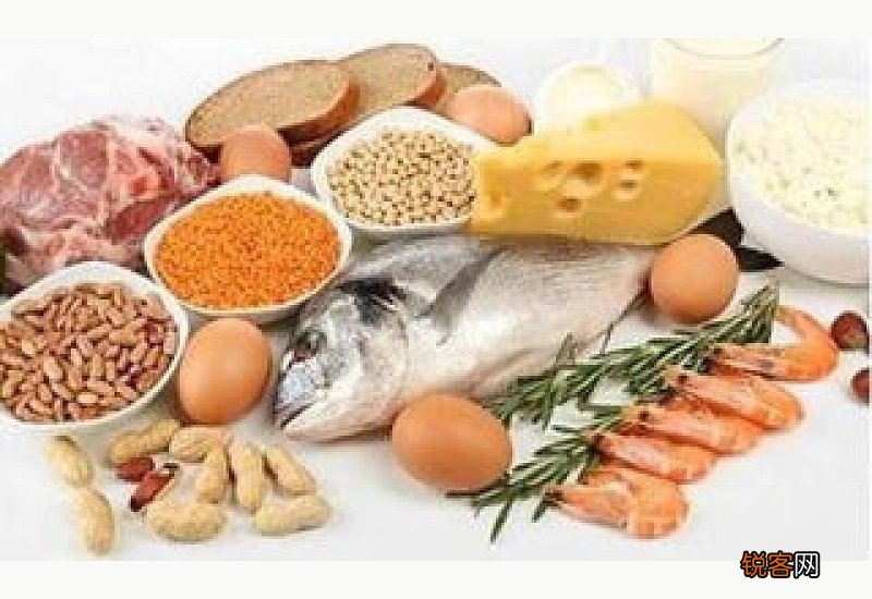 高蛋白食物排行榜前十名