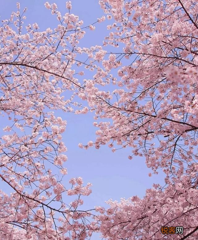 人活着到底是金钱重要,还是朋友家人重要,或者说还有别的什么更重要？