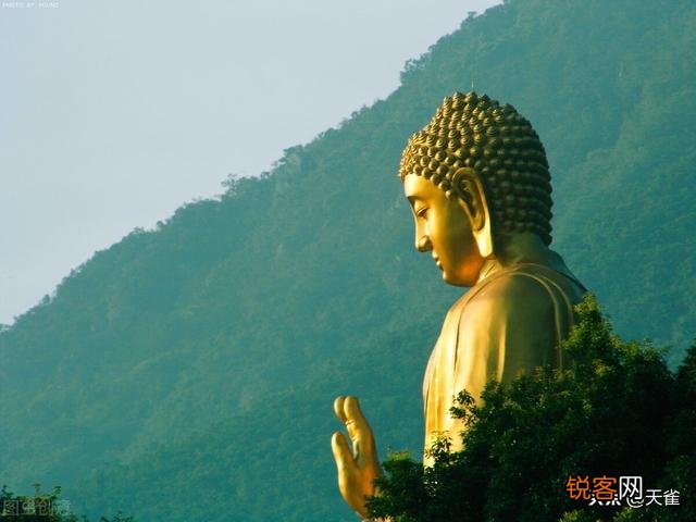 你做过的最奇怪的梦是什么？