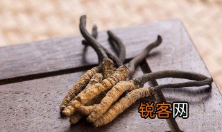 人类的本质是冬虫夏草是什么意思 人类的本质是冬虫夏草解释