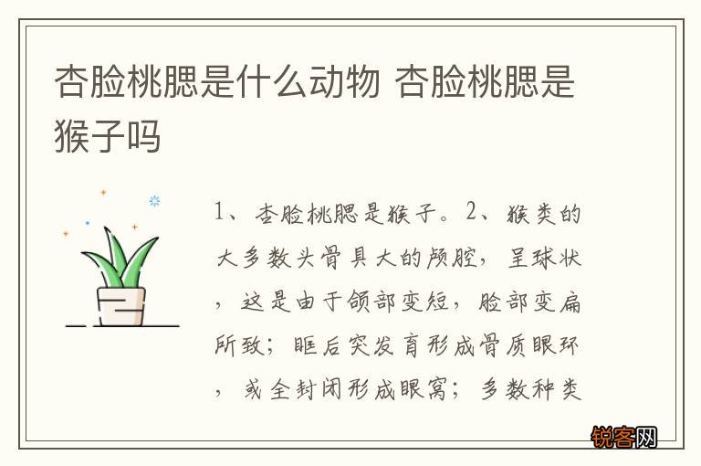 杏脸桃腮是什么动物 杏脸桃腮是猴子吗