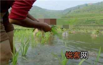 一个单身女性怎么解决长期的心理需求？
