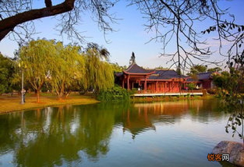 今年橘子洲的腊梅什么时候开2021