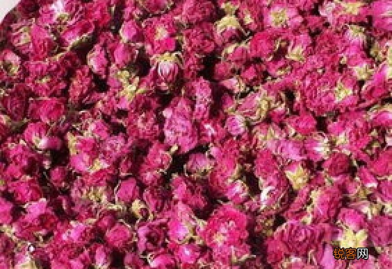 蒲公英金银花菊花玫瑰花枸杞一起泡水功效和作用