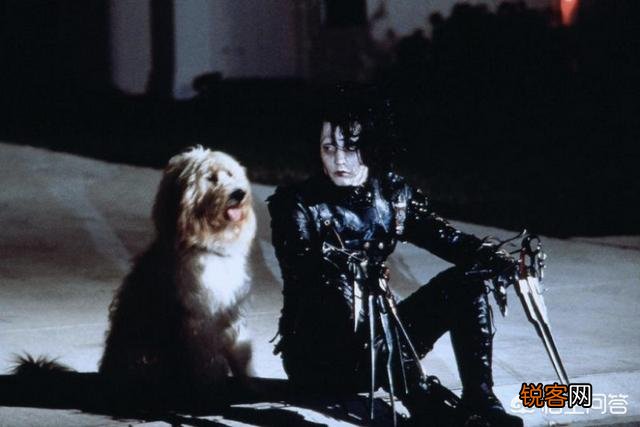 你认为哪部电影让你坚信爱情？