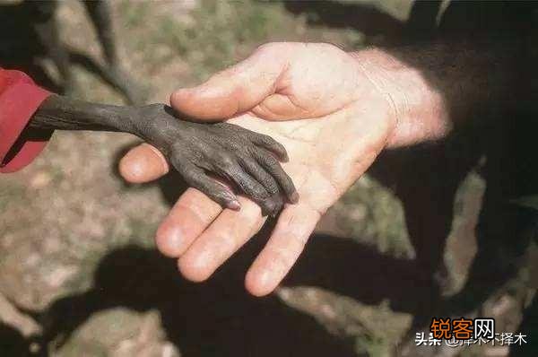 很多影视剧中的人物都有特异功能,你最想拥有哪个？