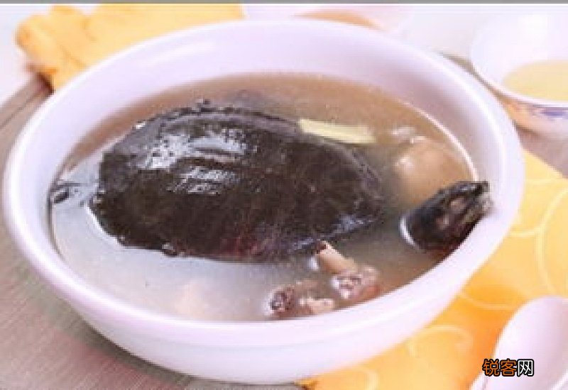 死甲鱼能吃吗 吃甲鱼都有什么禁忌