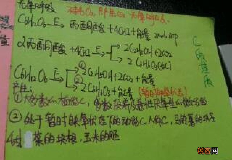 有氧呼吸第三阶段 有氧呼吸第三阶段产生多少ATP