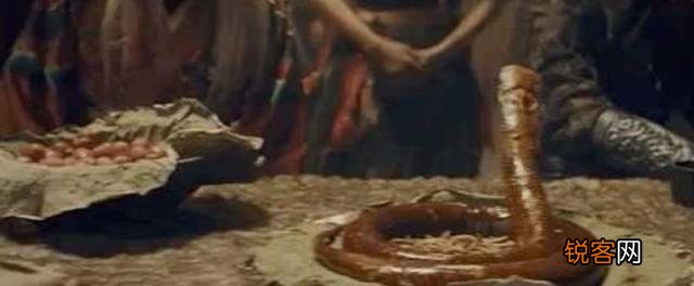 古装奇幻电影《东海人鱼传》大家看过了吗？觉得怎么样？