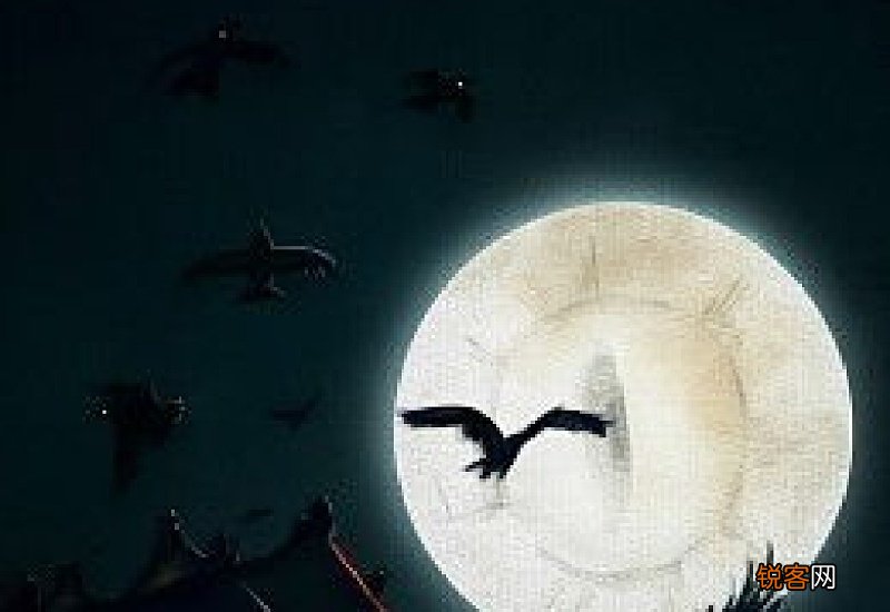 月明星稀乌鹊南飞什么意思