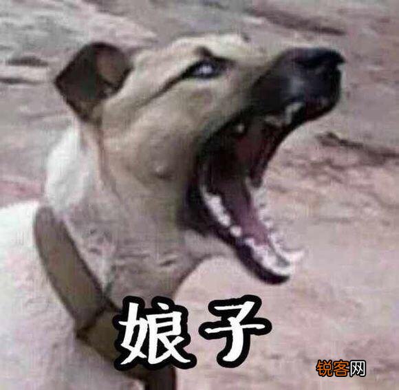 国产拍照手机华为、oppo和小米,哪个更好？