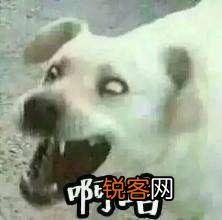 国产拍照手机华为、oppo和小米,哪个更好？