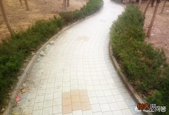 关于等额本息,如何还款划算？