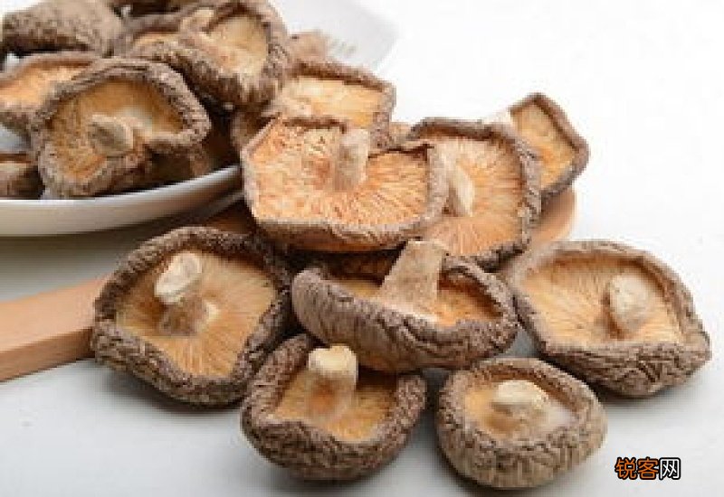 花菇和香菇的区别和营养价值