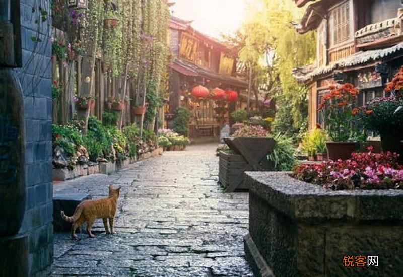 丽江古城在哪个省哪个市 丽江古城在哪个省哪个市哪个县