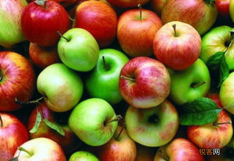 每天吃一个苹果好吗 每天吃苹果也有什么好处