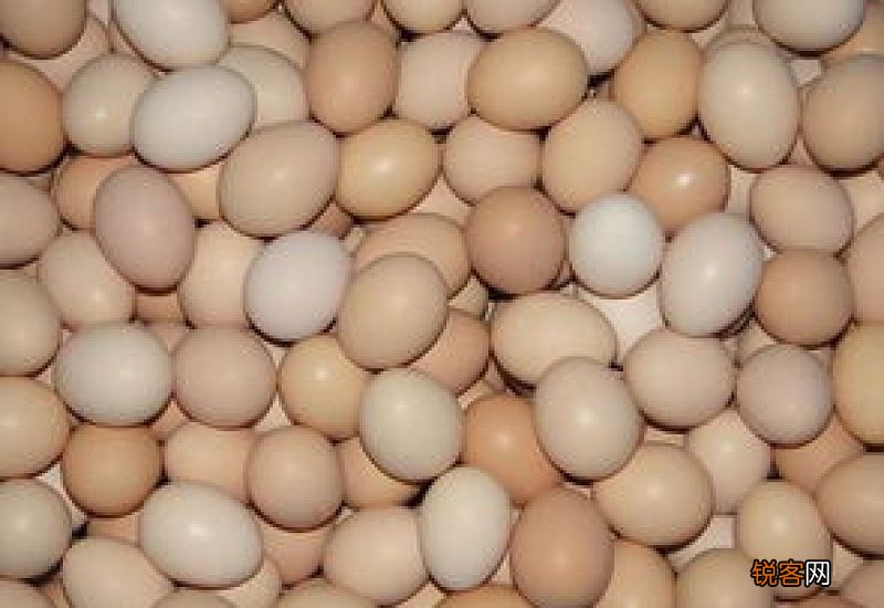 每天吃一个鸡蛋的好处有哪些 吃鸡蛋有哪些禁忌要注意