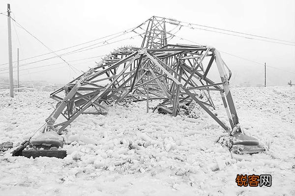 五大著名黑天鹅事件盘点 黑天鹅事件是什么意思