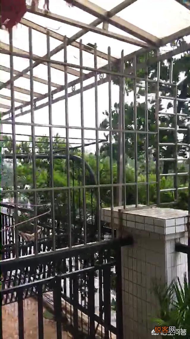 小时候听说12级台风都很恐怖了,现在都18级了。到底最大多少级？