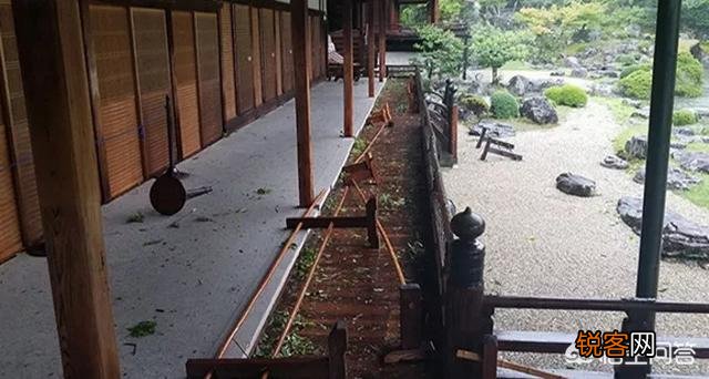 台风“飞燕”来袭,最强风力可达17级,它会影响我国的沿海地区吗？