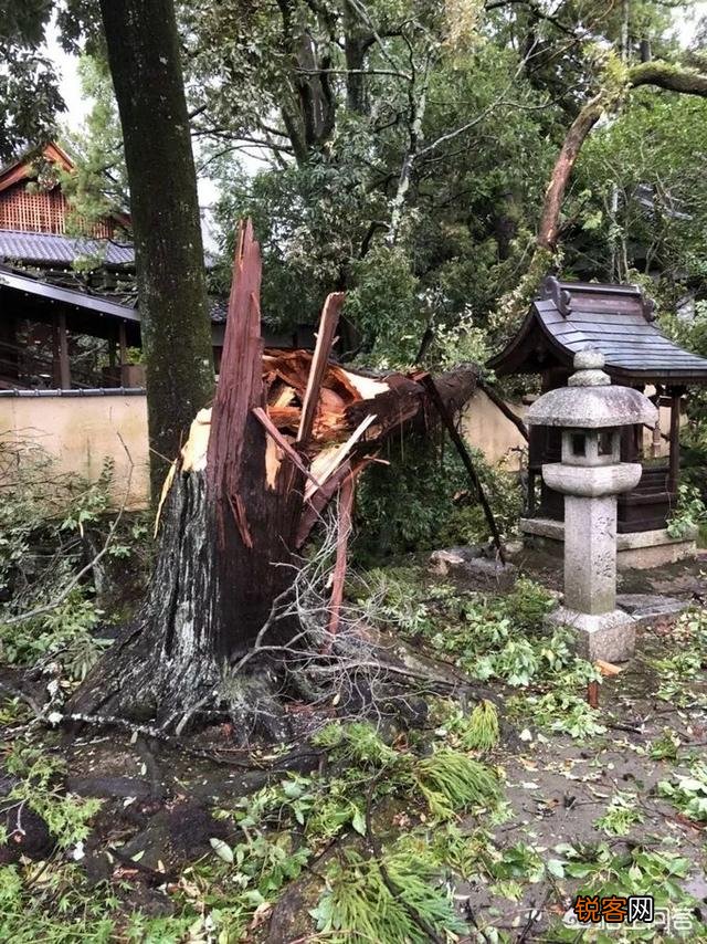 台风“飞燕”来袭,最强风力可达17级,它会影响我国的沿海地区吗？