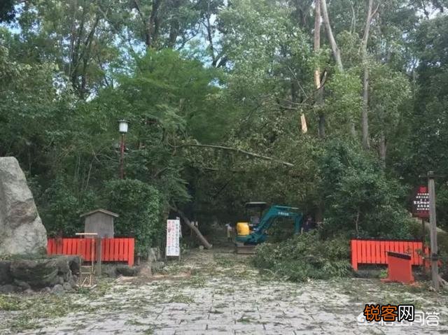 台风“飞燕”来袭,最强风力可达17级,它会影响我国的沿海地区吗？