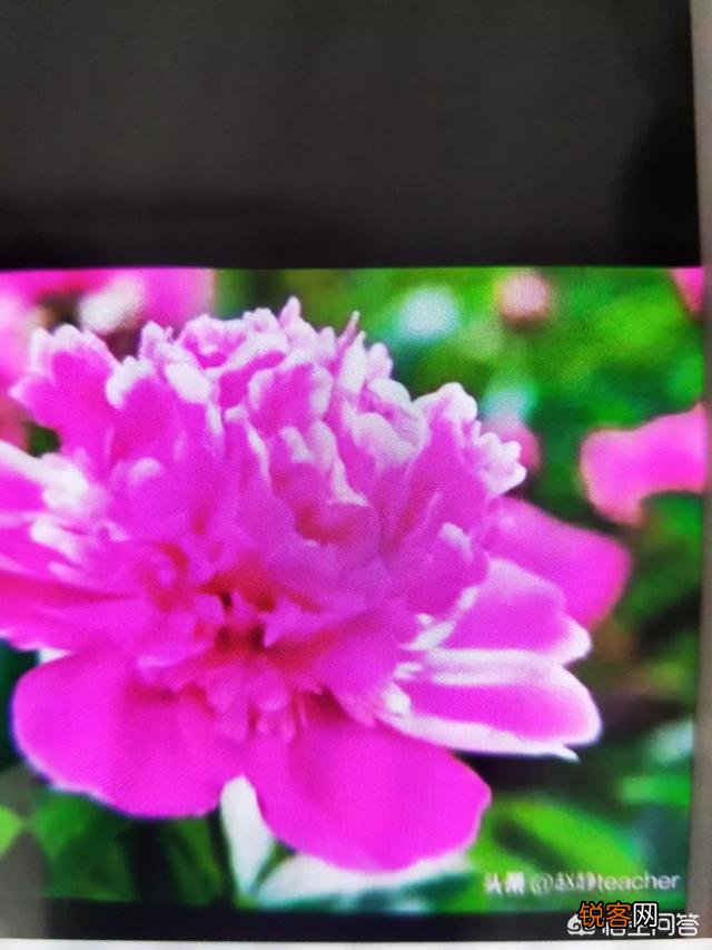 藏在古诗词里的春节祝福,你最喜欢的有哪几首？