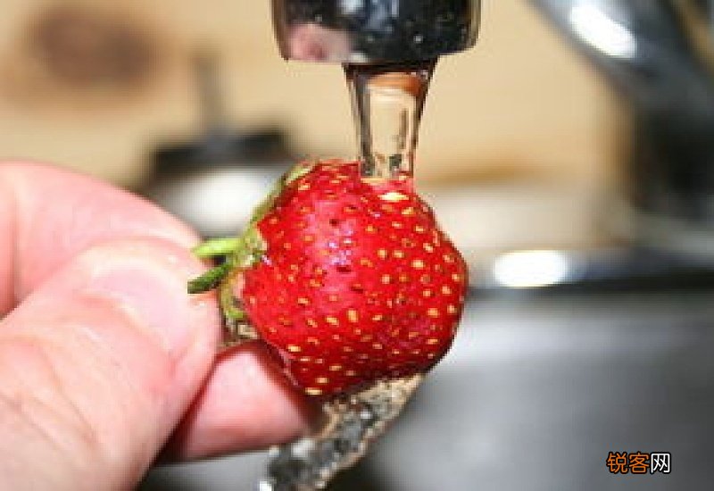 为什么草莓泡在水里会烂