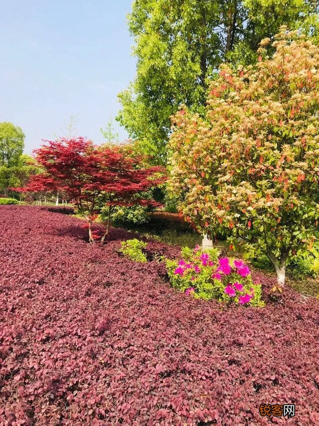 如何用古诗词表达「我爱你」,「我喜欢你」或「思念」的意思？