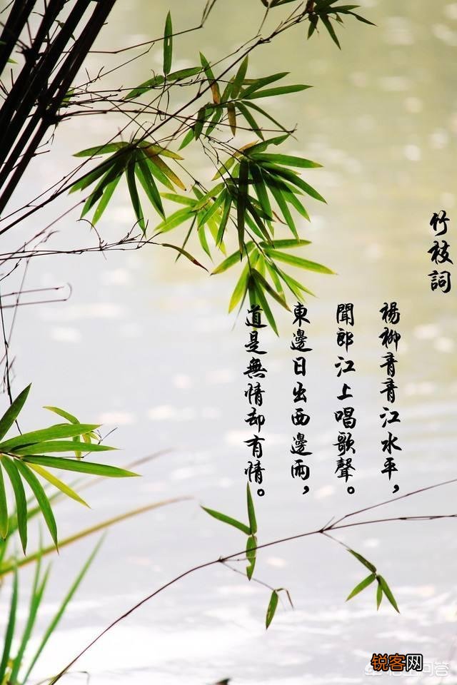 为什么一首古诗会有不同的释义？你能举出一例吗？