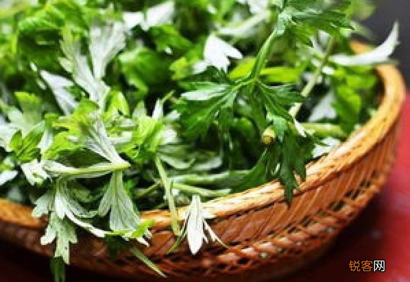 艾草热水可以加冷水兑吗